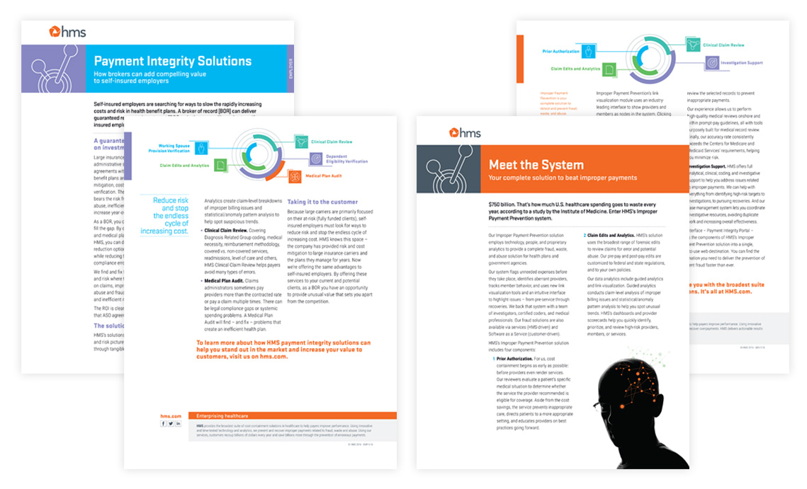 Two sided sales sheets examples with color coding for market differentiation
